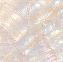 Chất Giọng Khàn Ấm